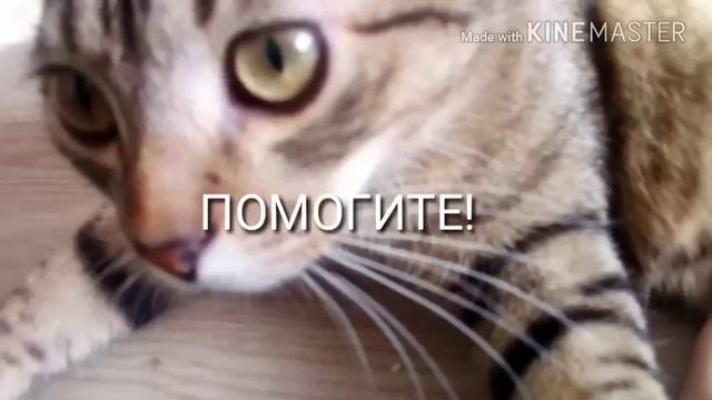 Серьезный разговор! смотреть онлайн