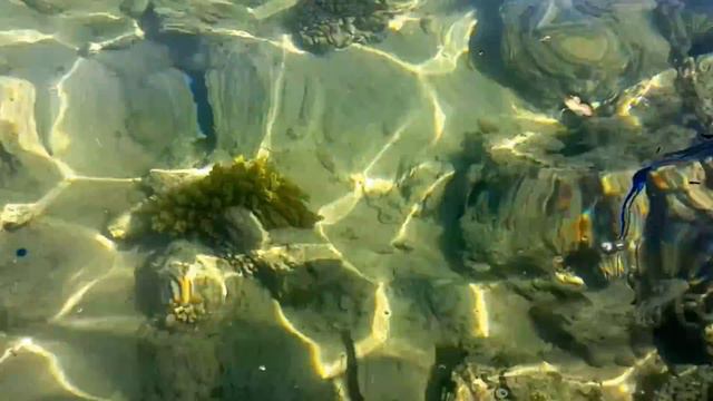 Даня в Египте День#2 купаемся в Красном море Daniil swim in the Red sea смотреть онлайн