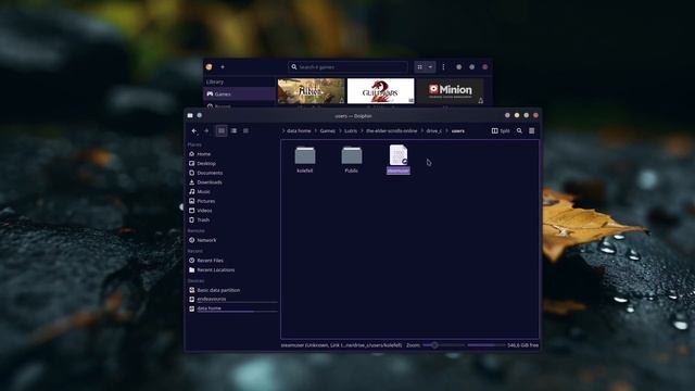 [Errno 17] File Exists LUTRIS Error And How I FIXED It