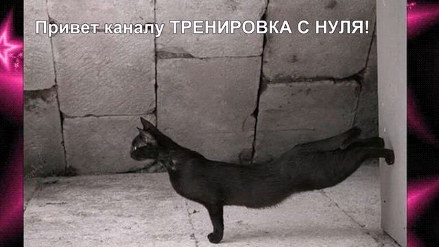 ПЕСНИ СССР. Жил да был чёрный кот за углом смотреть онлайн