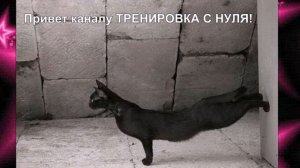 ПЕСНИ СССР. Жил да был чёрный кот за углом