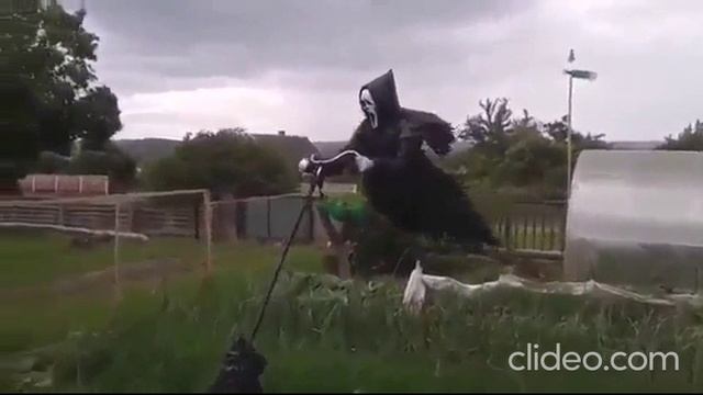 утро 31.05 смотреть онлайн