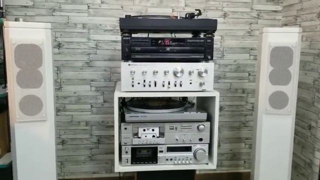 Т+А Pulsar 1200 (Germany)