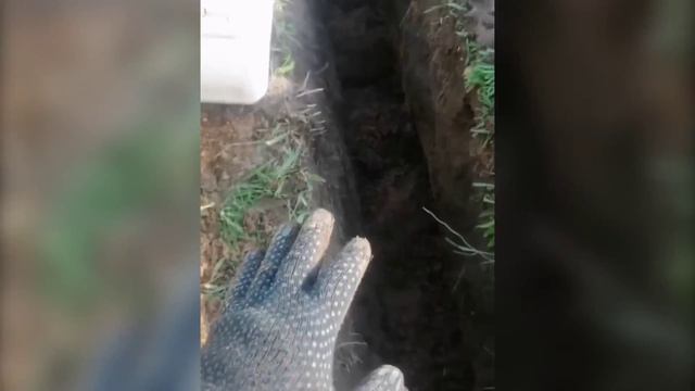 Ogorod moment смотреть онлайн