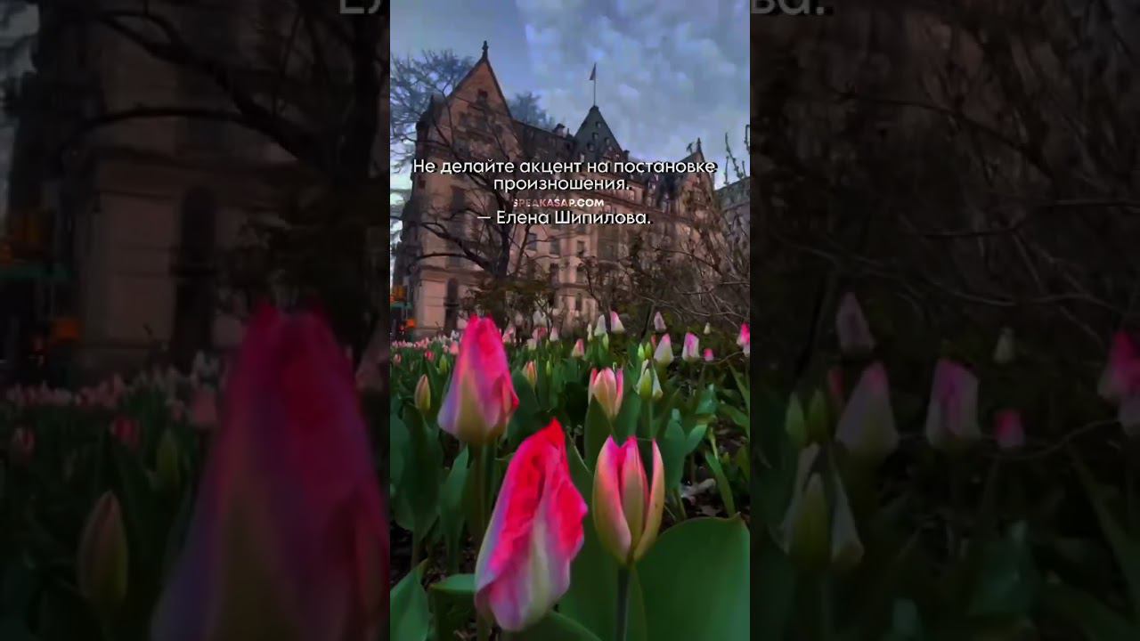 Не делайте акцент на постановке произношения. speakASAP®. Елена Шипилова®. смотреть онлайн