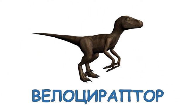 Динозавры Карточки Домана Развивающее видео для детей смотреть онлайн