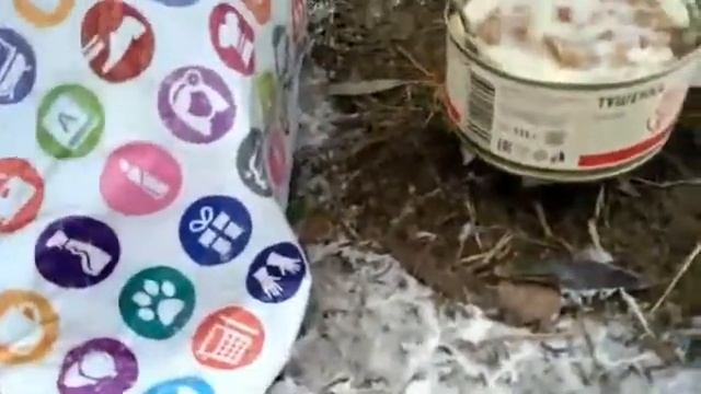 Тест сухого горючего из сухпайка смотреть онлайн