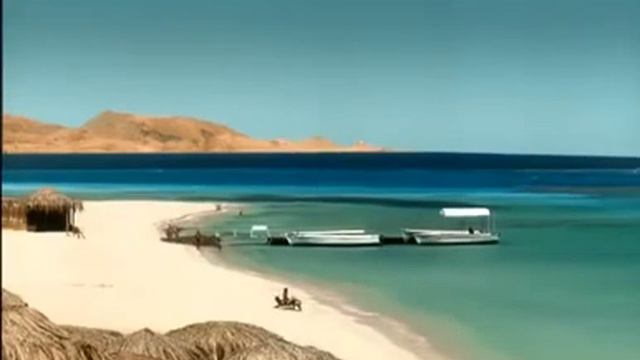 Cairo City Tours. Egyptian Museum, Egyptian Museum And Mosque Of Mohamed Ali And