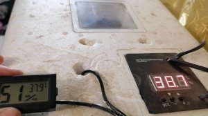 Режим инкубации куриных яиц /Калибровка температуры и влажности