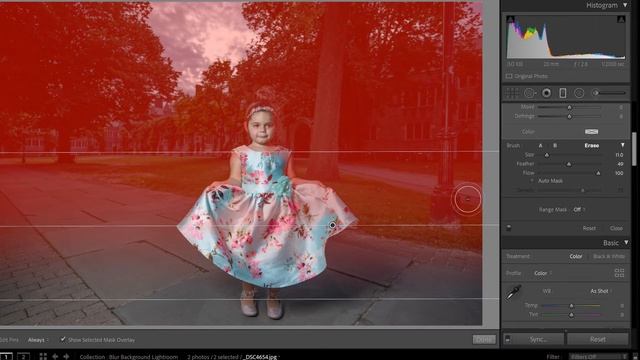 How To Blur The Background In Lightroom (...and make it look realistic) смотреть онлайн