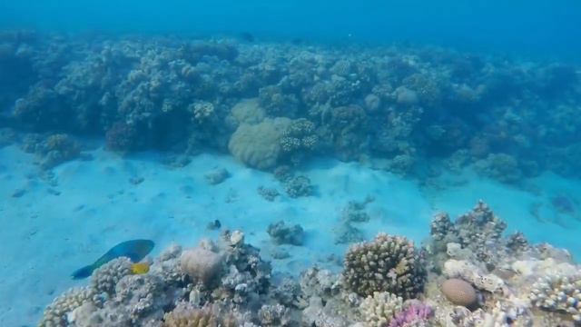 149Сон о восхищении 7.01.21 🔥Храни сердце свое👆 смотреть онлайн