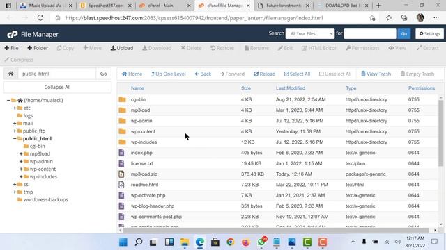 How to Setup MP3 Tagger for Musics Blog | Make a Music Website with MP3tagger, Cheap Dmca hosting смотреть онлайн