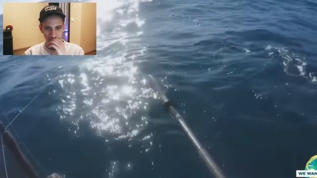 ТОП 5 САМЫХ ЖЕСТКИХ ВИДЕО С АКУЛАМИ СНЯТЫЕ НА КАМЕРУ смотреть онлайн
