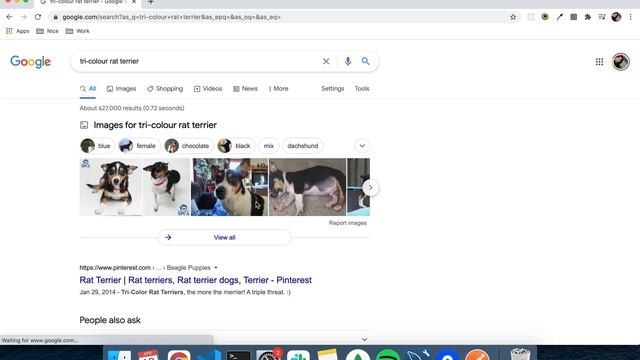 CS50’s Web Programming with Python and JavaScript - Project 0 -Search смотреть онлайн