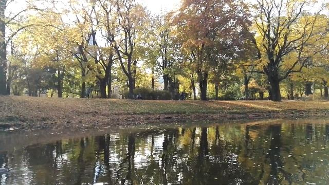 Рижский городской канал. смотреть онлайн