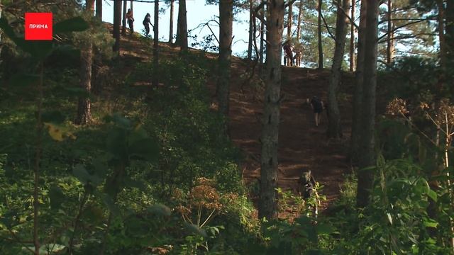 Локация №66: Манская петля смотреть онлайн