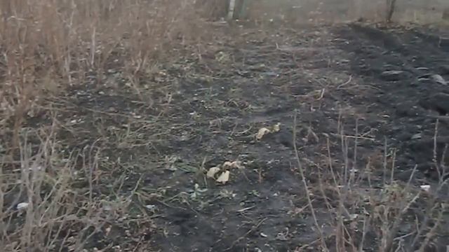 "Эвелина хочет играть с папой,козы,козы,опять эксперемент с шитьём!!! смотреть онлайн