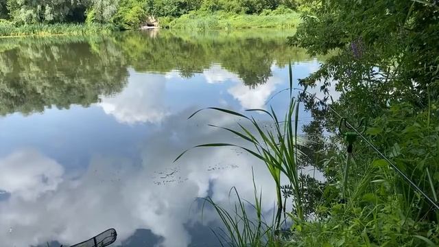 Рыбалка на реке Сура. Стрим с реальной рыбалки. Driler - Рюкзак рыболова