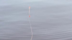 Супер поплавок - кивок самоподсекающий в работе