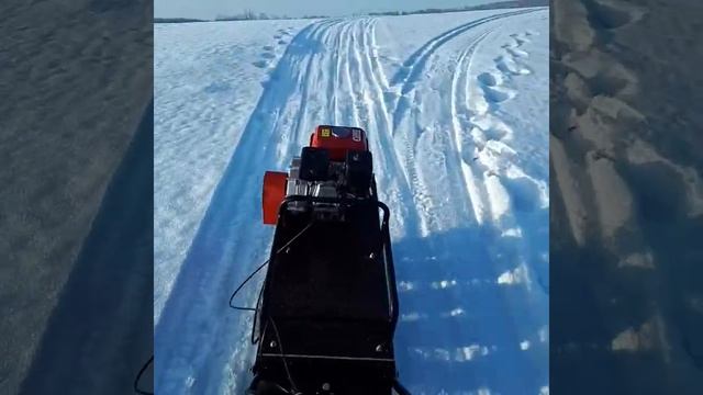 Мотобуксировщик Forza 6,5 л.с Тюмень смотреть онлайн