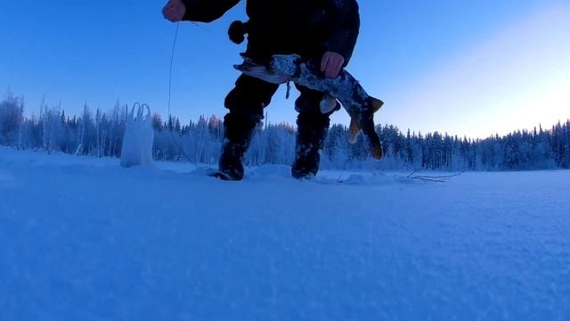 Щука 4кг 200 гр смотреть онлайн