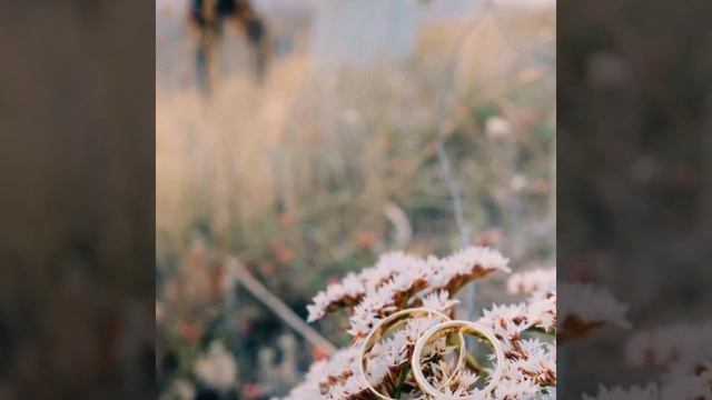 КАК ЗНАТЬ смотреть онлайн