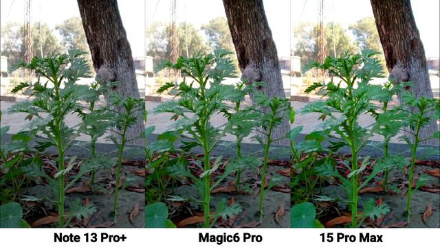 Honor Magic 6 Pro Vs Xiaomi Redmi Note 13 Pro Plus Vs iPhone 15 Pro Max Camera Test Comparison смотреть онлайн