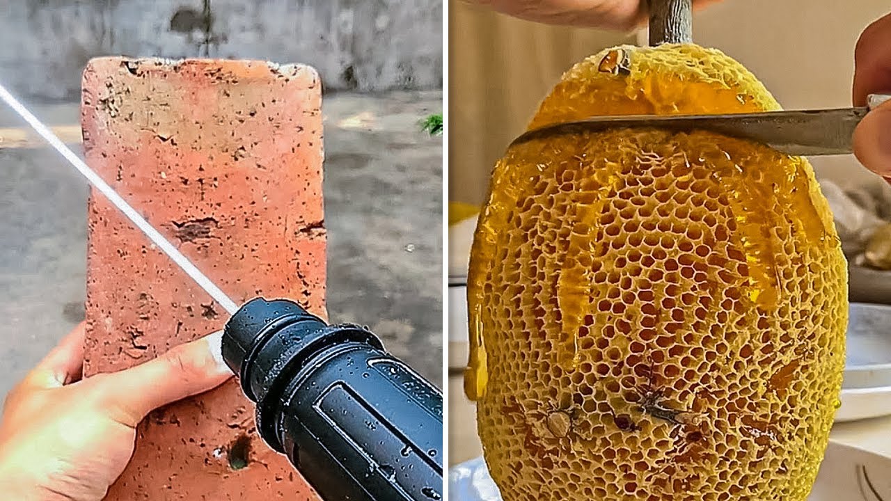 ВИДЕО, НА КОТОРЫЕ ЗАЛИПАЮТ МИЛЛИОНЫ ЗРИТЕЛЕЙ СО ВСЕГО МИРА.mp4 смотреть онлайн