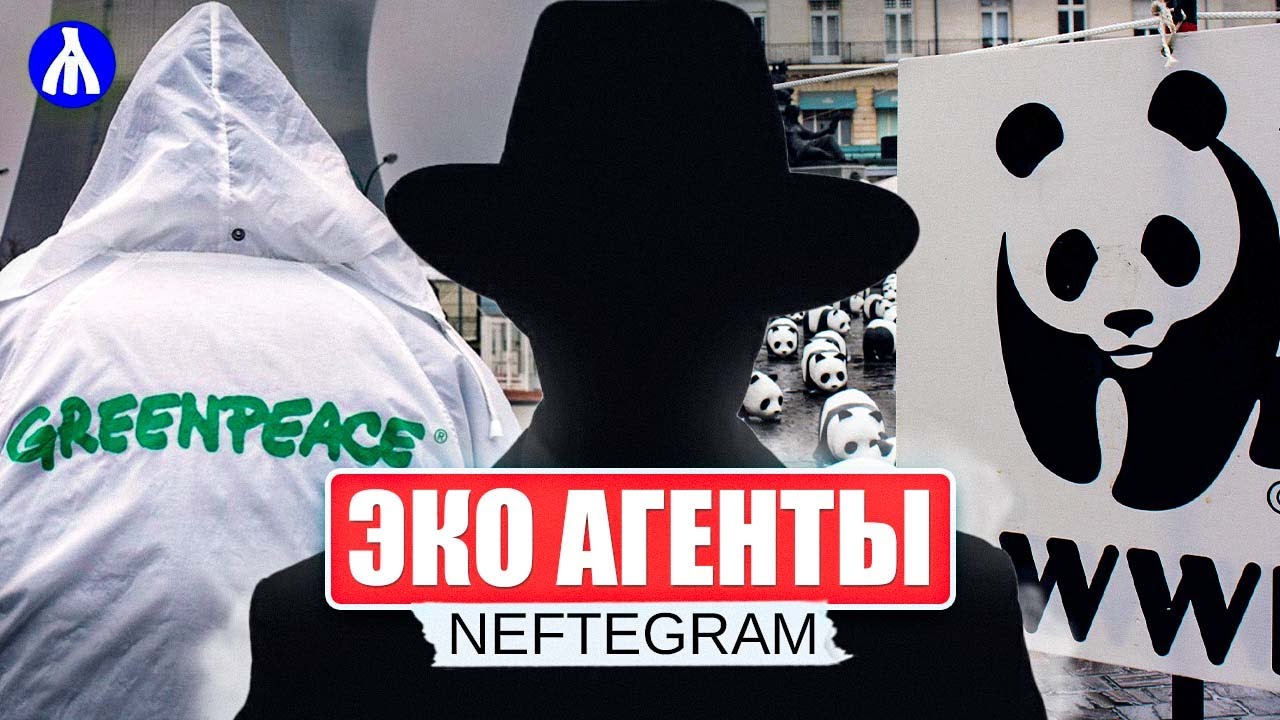 WWF и Greenpeace иностранные агенты? | Берегут  Россию или свои интересы? | РЕАКЦИЯ