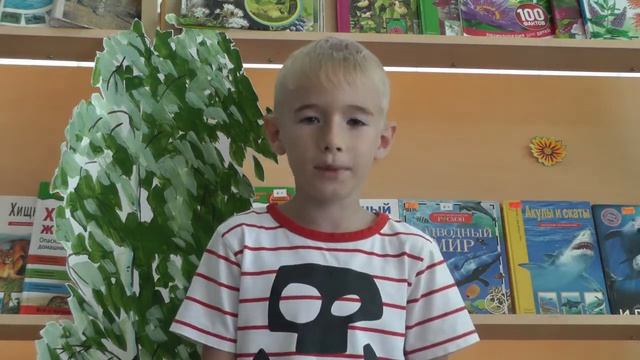 "Русский лес", автор С.Никулин, читает Марченко Степан, п Краснобродский смотреть онлайн