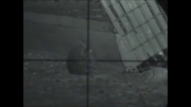 RAT SHOOTING IN A HEAVILY INFESTED FARM смотреть онлайн