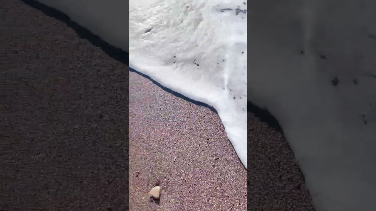 25.02.23 г. Погода Лазаревское #shorts #погодалазаревское #лазаревское2023 #черноеморе #сочи смотреть онлайн