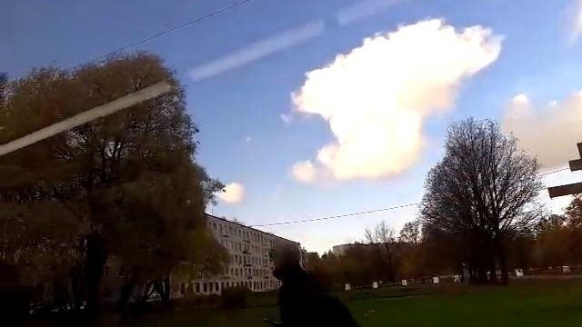 Автобус 18а "Ст. м. "Ленинский проспект" - ул. Стойкости". смотреть онлайн