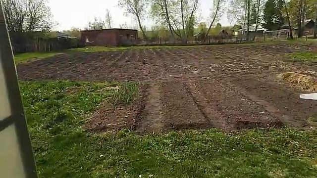 Как победить осот и берёзку смотреть онлайн