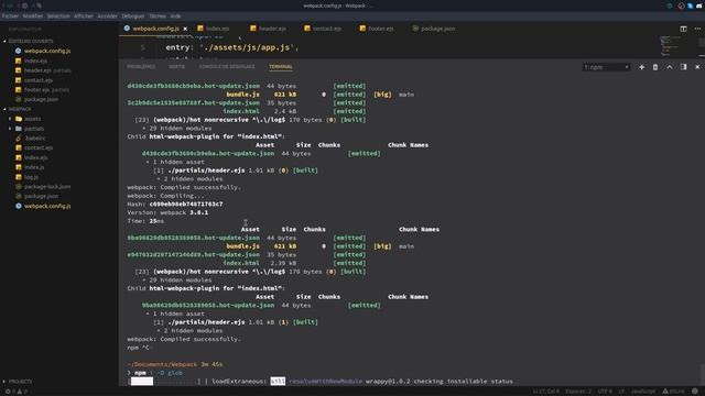 Comprendre Webpack (11/15) : Plugin HTML смотреть онлайн
