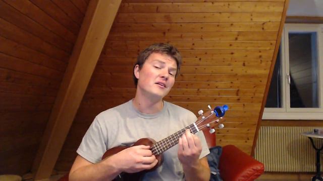 Fare thee well (Cover on ukulele) смотреть онлайн