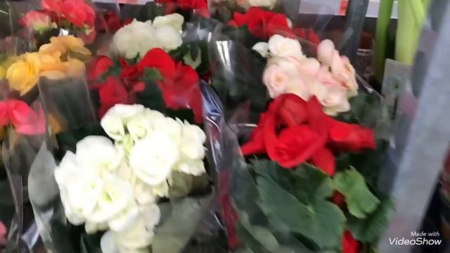 Новый завоз Цветов в ОБИ! Весеннее Настроение! смотреть онлайн