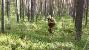 Как не заблудиться в лесу.