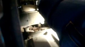 Демонтаж коробки передач (МКПП) Chevrolet Lacetti Nubira