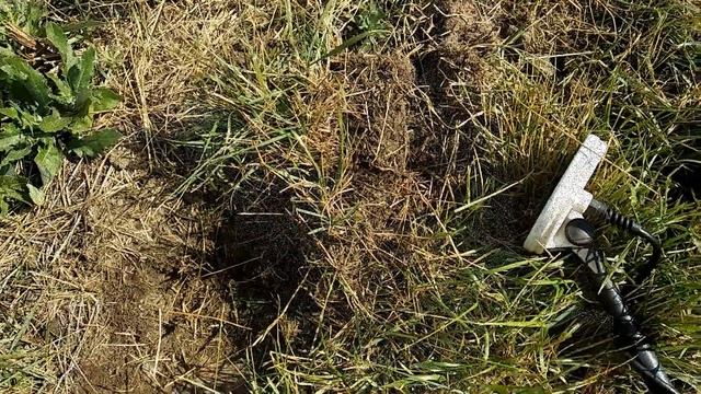 Отдых с металлоискателем в Омской области смотреть онлайн