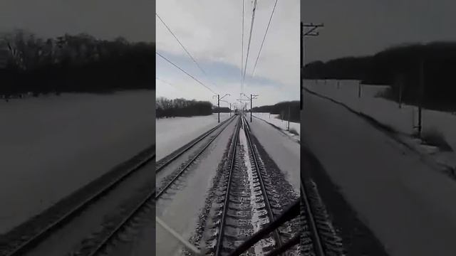 Тарпан :) смотреть онлайн