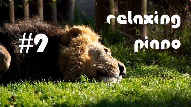 #9 Relaxing Piano [PianoImprovisation] | TRiS смотреть онлайн