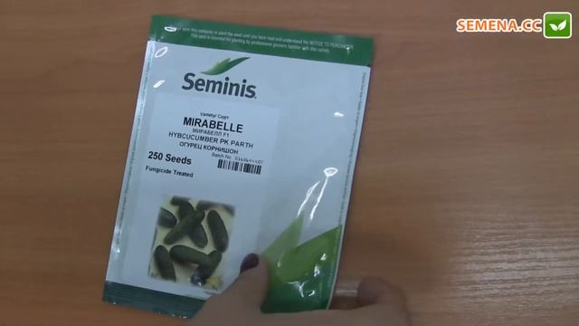 Мирабелл F1 огурец (Seminis) Антифейк смотреть онлайн