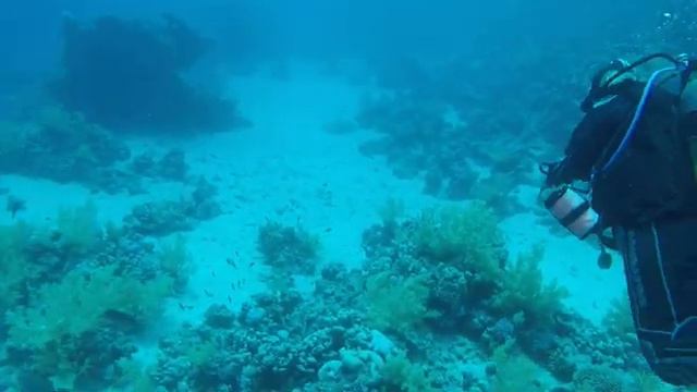 Red Sea Egypt Diving RAS MUHAMMAD смотреть онлайн