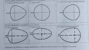 ВПР - 2022. Биология 6 класс. Вариант с ответами №1