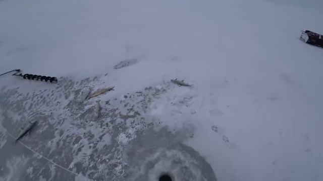 АДРЕНАЛИН! СИГОВЫЙ ОТРЫВ! Кто ищет, тот обязательно найдёт! смотреть онлайн