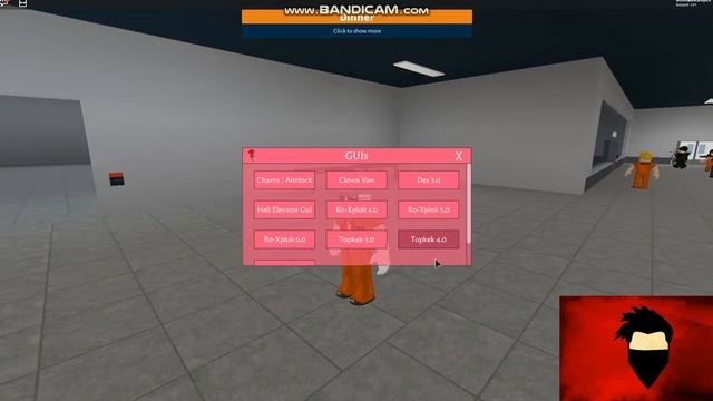 Roblox Level 7 Lua Script Executor - Hexus смотреть онлайн