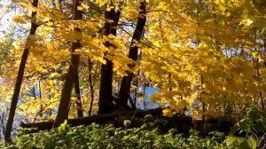 Vanessa Mae ܓПотрясающе красивая мелодияܓСКРИПКА Из коллекции мировых шедевров