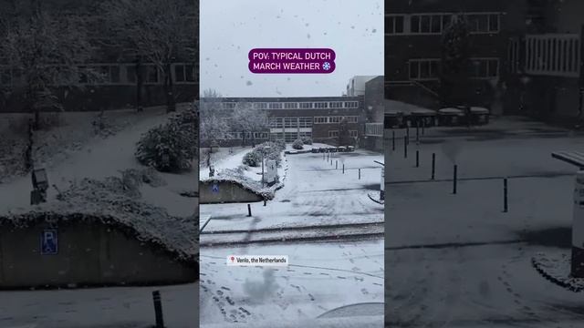 What March currently looks like in the Netherlands.. ❄️ #fontys #venlo #thenetherlands #holland смотреть онлайн