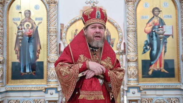 "Неблагодарность". Проповедь в день памяти святых Царственных страстотерпцев смотреть онлайн